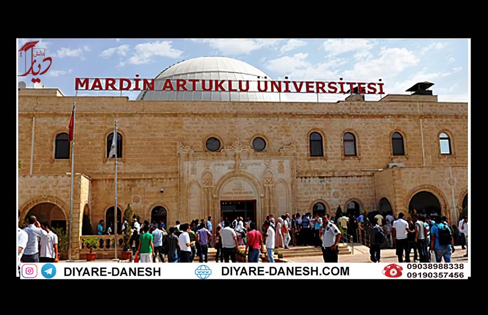 دانشگاه ماردین آرتوکلو ترکیه