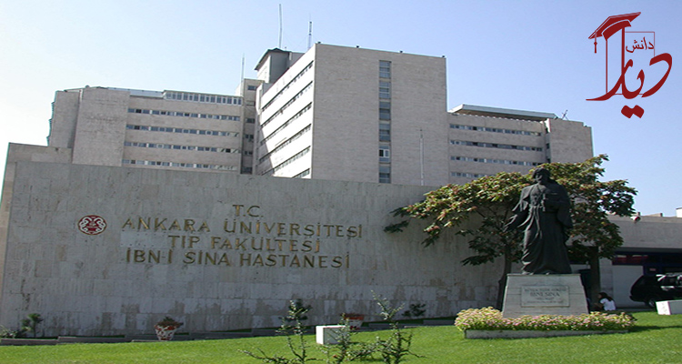 دانشگاه آنکارا