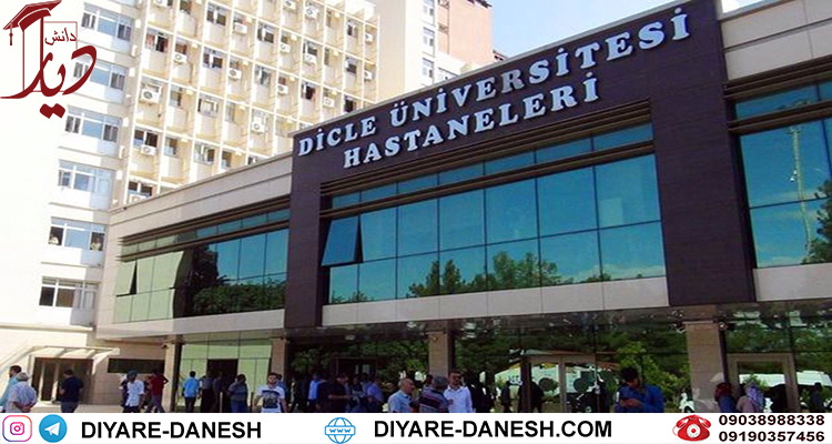 دانشگاه دجله ترکیه